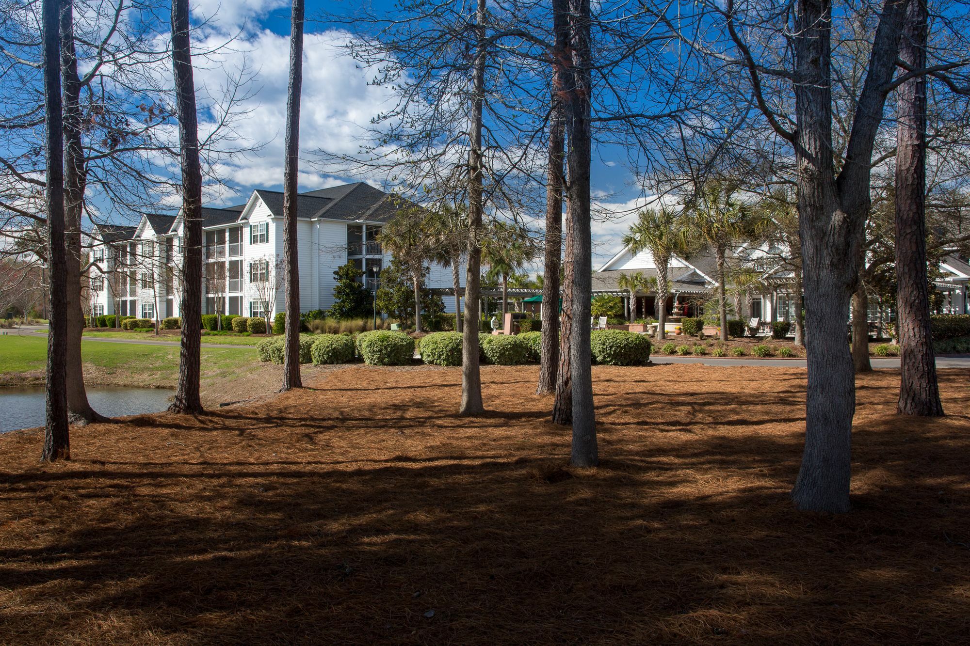 Ellington At Wachasaw Eas Aparthotel Murrells Inlet Exterior foto